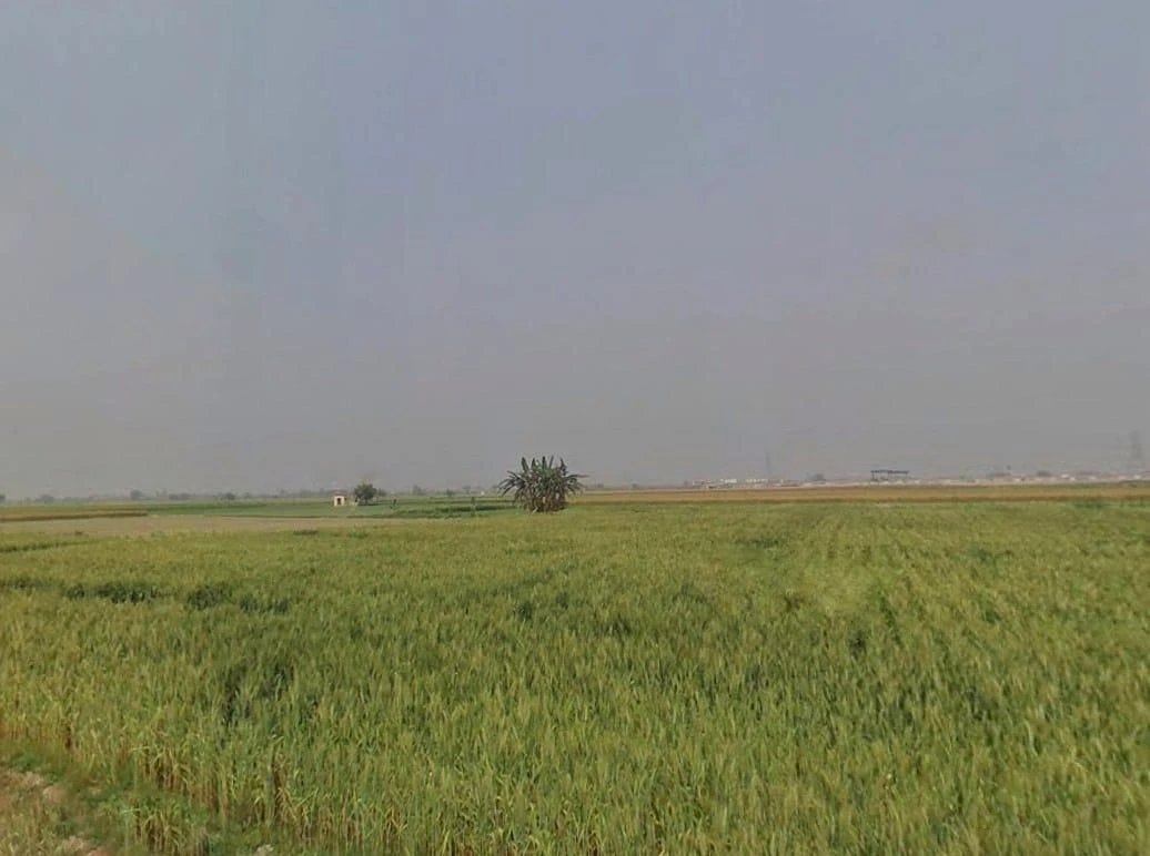 PR3M+JVQ, Rambag, Madhya Pradesh 486331, India