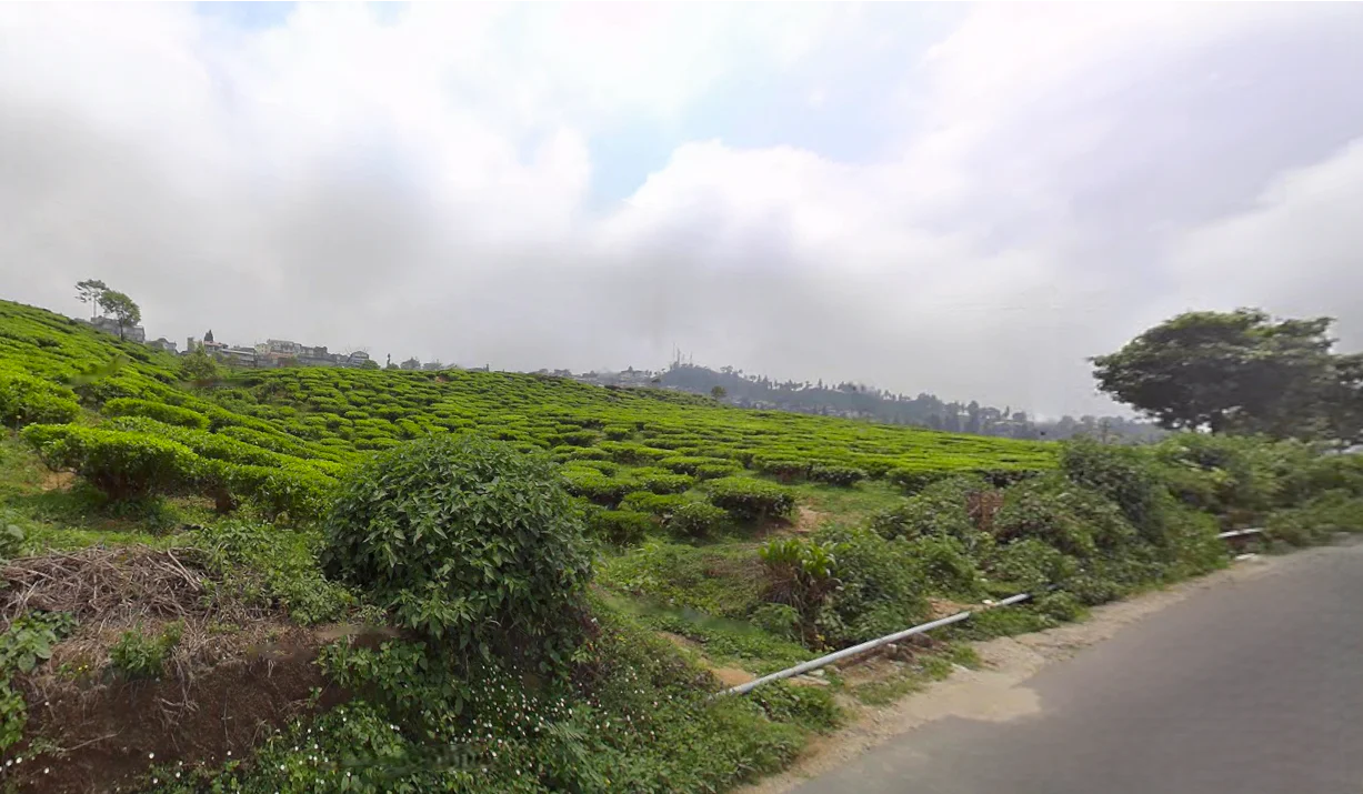 Kurseong, West Bengal, India preview 3