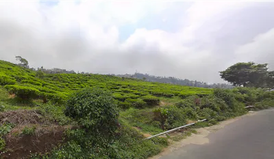 Kurseong, West Bengal, India preview 3