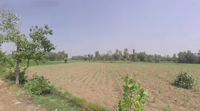Siyana, Uttar Pradesh 203412, India preview 2