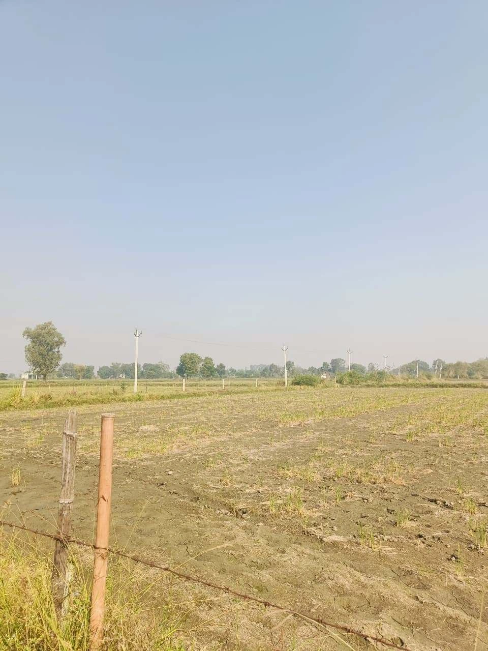 Barhana, Mathura, Uttar Pradesh, India - Photo 2