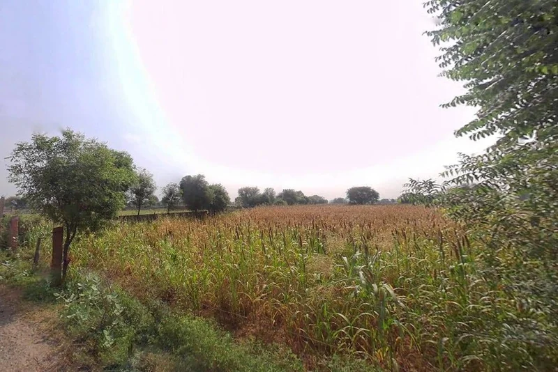 PVWP+32 Barh Ramzanipura, Rajasthan, India preview 3