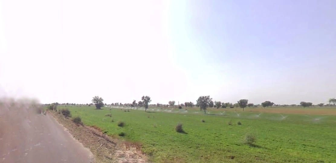 Jobner, Rajasthan, India