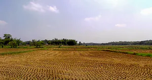 Nallepilly, Kerala 678553, India preview 3