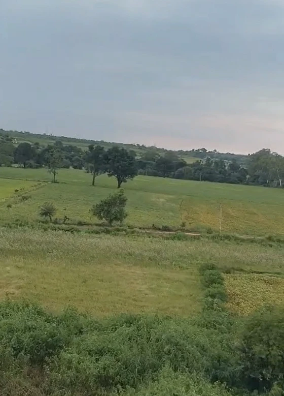 Nabipur, Dewas, Madhya Pradesh, India