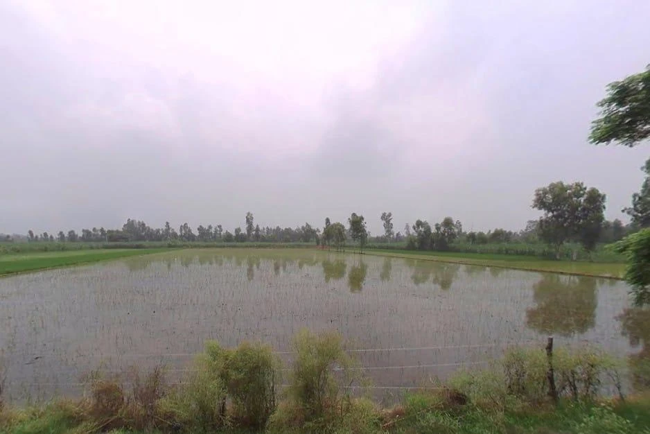 Piparia Bhaja, Uttar Pradesh, India