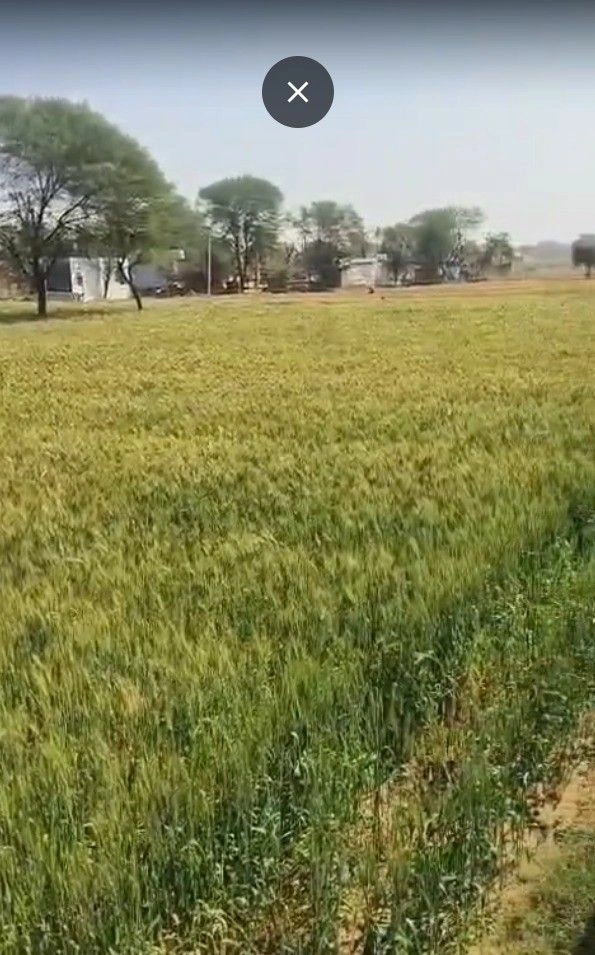 Garoodwasi, Rajasthan, India preview 2