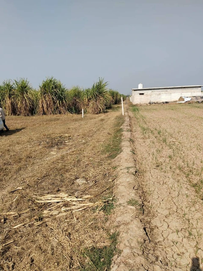 Lullon, Punjab 140412, India