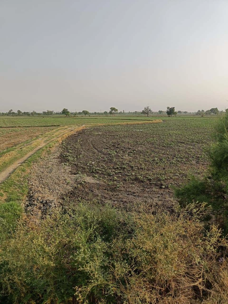 Tentigaon, Uttar Pradesh, India