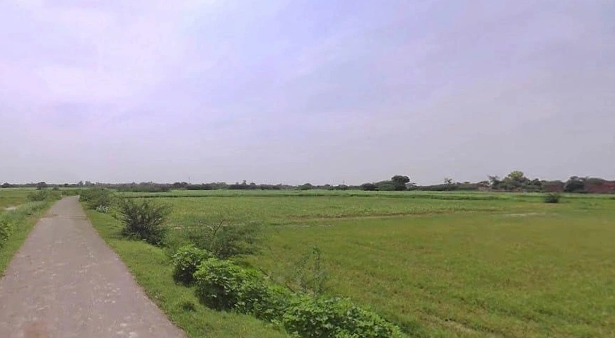 Barnagar, Madhya Pradesh 456771, India