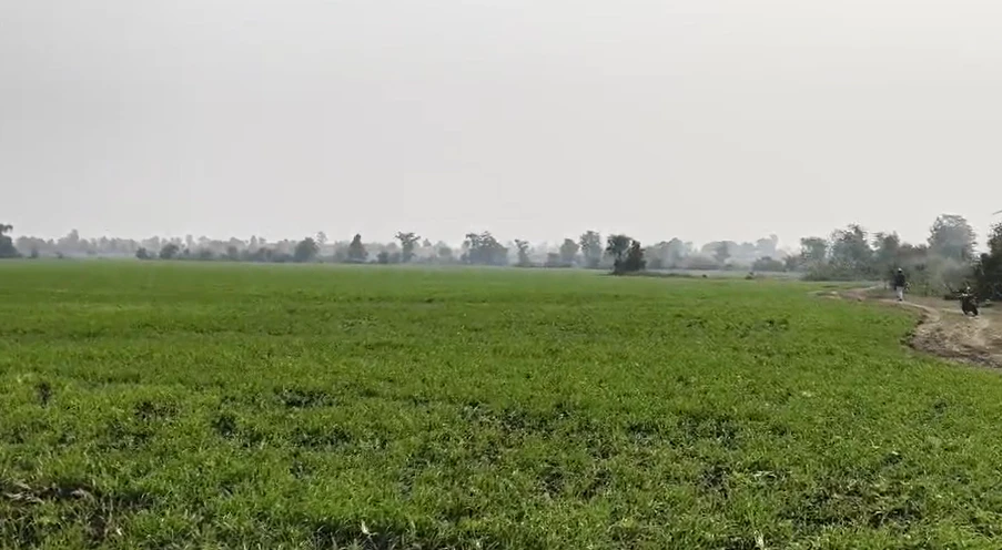 Khari, Vidisha, Madhya Pradesh 464001, India