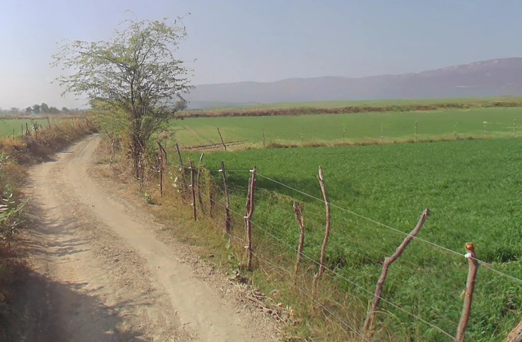 Birbira, Chhattisgarh 493441, India