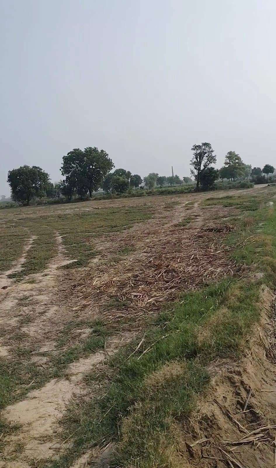 Aurangabad, Palwal, Haryana 121105, India