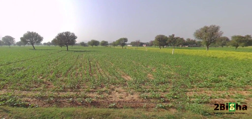 Mohanpura, Rajasthan, India