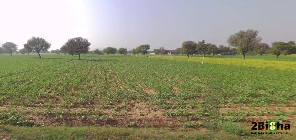 Mohanpura, Rajasthan, India