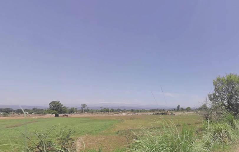 Raison, Himachal Pradesh 175128, India