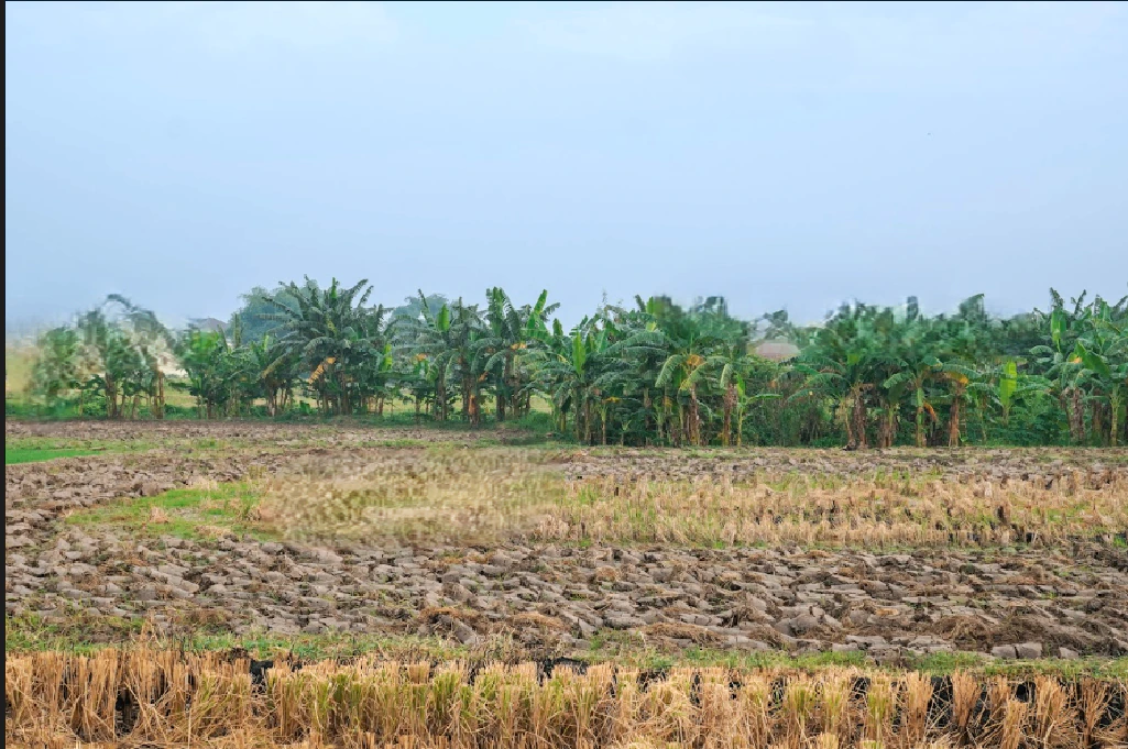 Deori, Chhattisgarh 493114, India