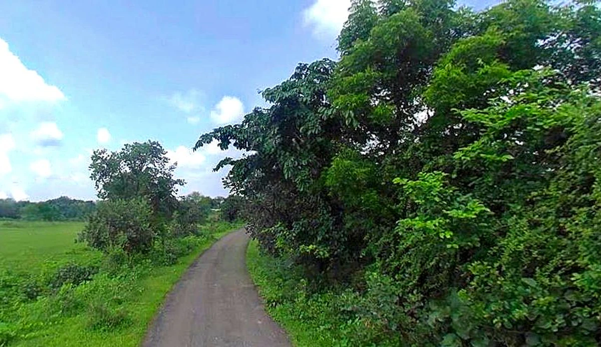 Jhusi, Uttar Pradesh 211019, India