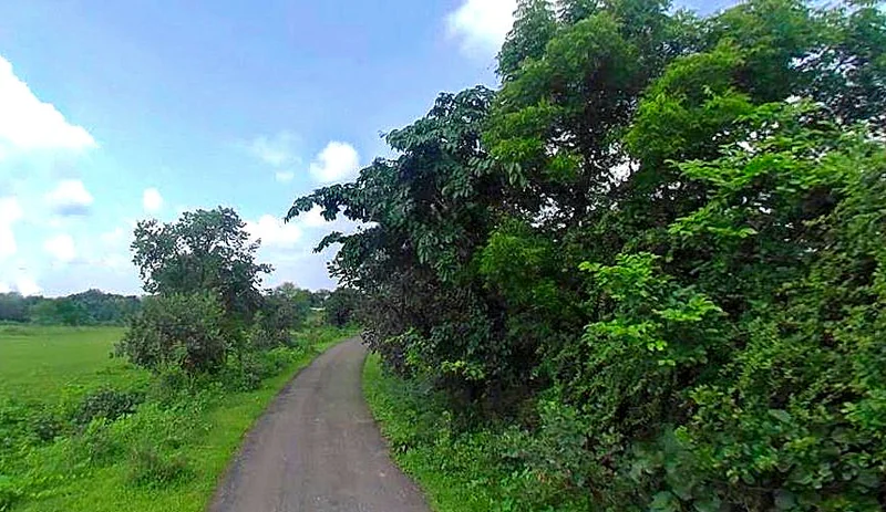 Jhusi, Uttar Pradesh 211019, India preview 3