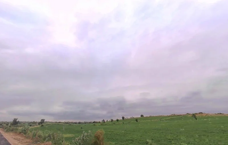 Sherera, Rajasthan 334022, India preview 3