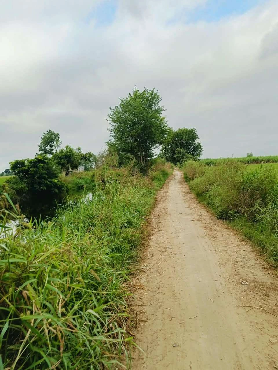 Bheema, Mathura, Uttar Pradesh 281204, India - Photo 2