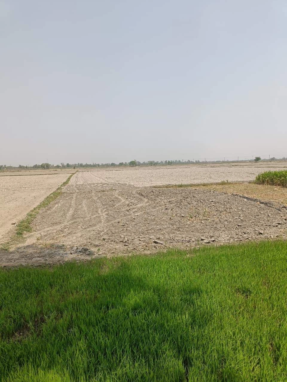 Sahar, Uttar Pradesh, India
