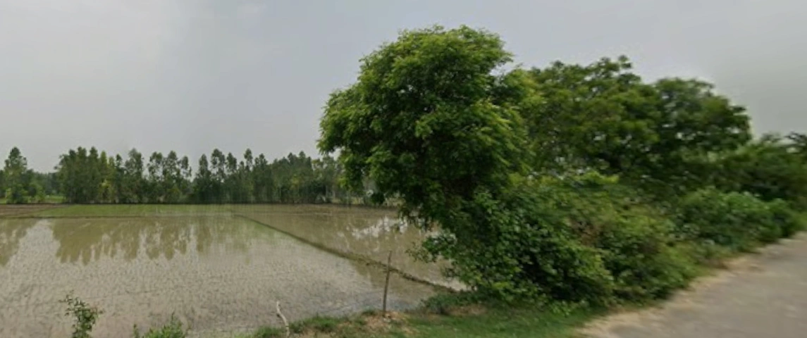 FM7W+4F9, Qidwai Naga, Muzaffarnagar, Uttar Pradesh 251001, India