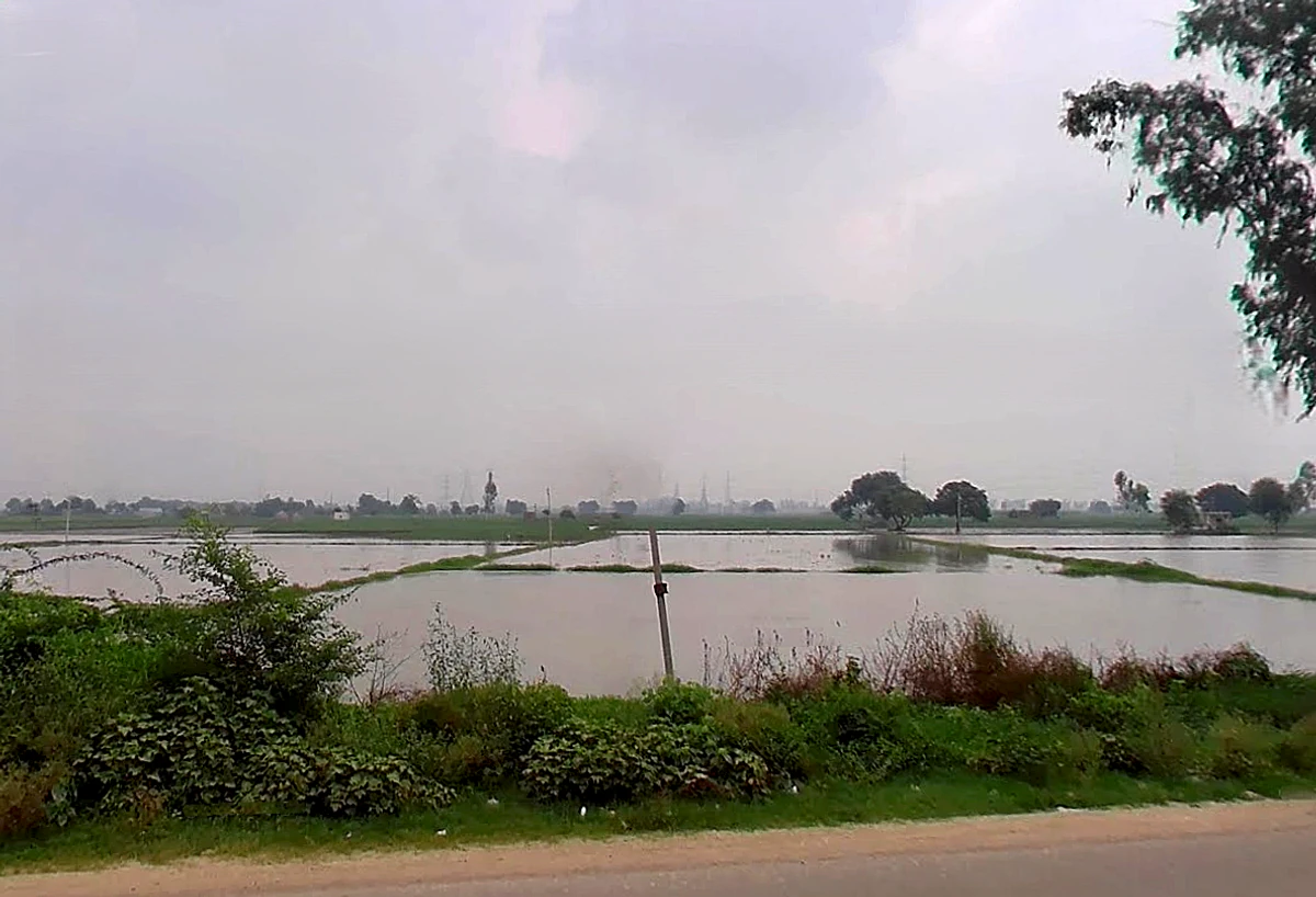 WW27+W9P, Samana Bahu, Haryana 132117, India