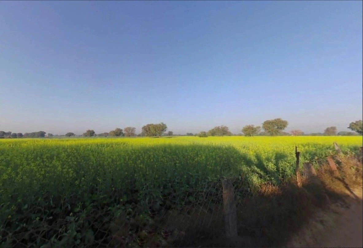 Nahariya ka bass, PV64+J4X, Jai Anandpura, Rajasthan 303903, India