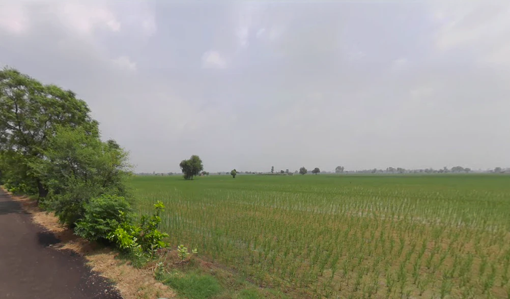 Bhodia Khera, Haryana 125120, India
