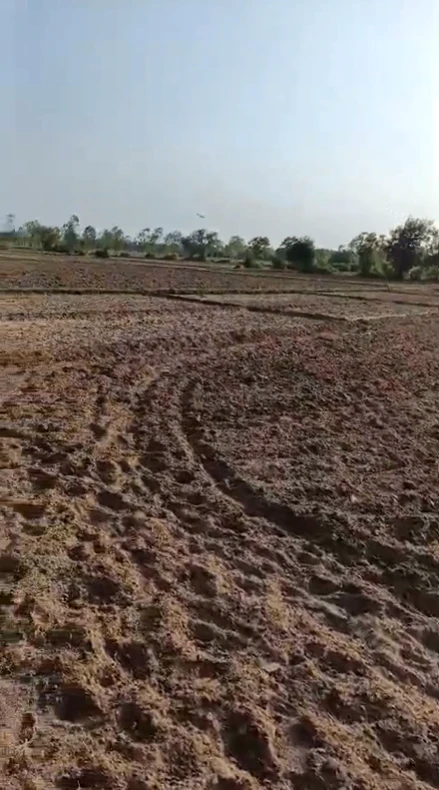 W528+RP Lasani Doyama, Beawar, India