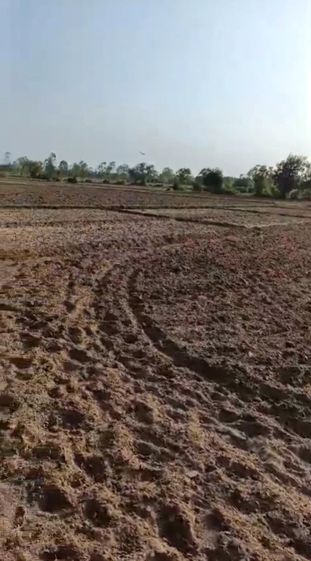 W528+RP Lasani Doyama, Beawar, India