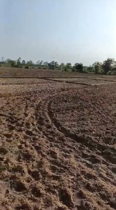 W528+RP Lasani Doyama, Beawar, India preview 2