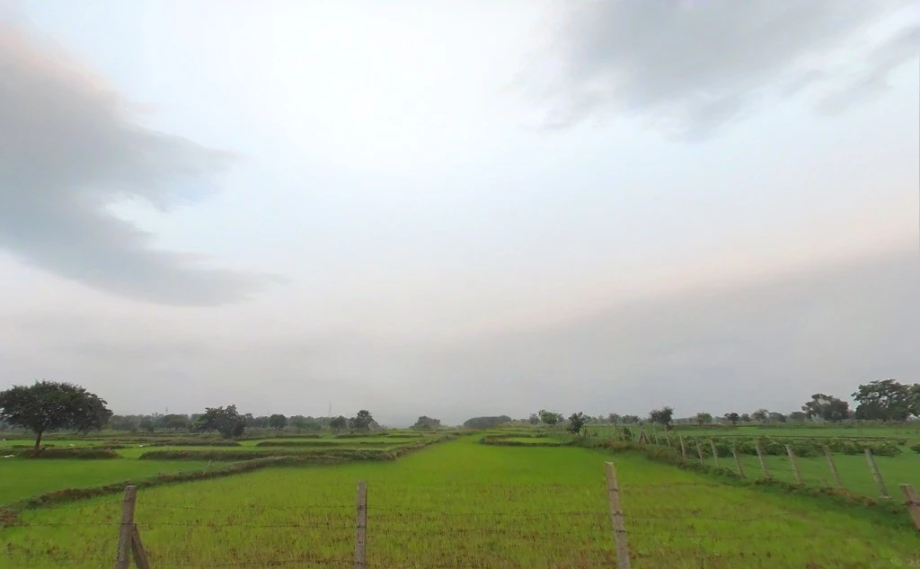 Pond, Chhattisgarh 493661, India