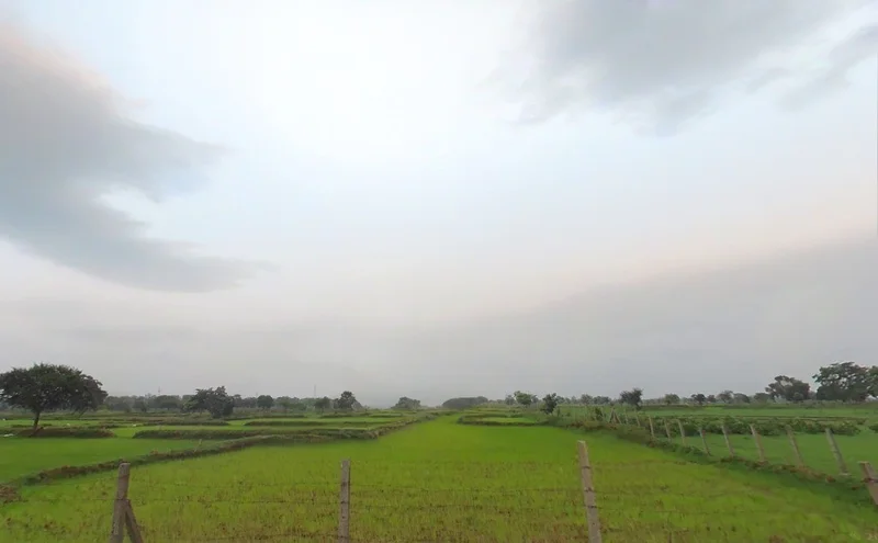 Pond, Chhattisgarh 493661, India preview 2