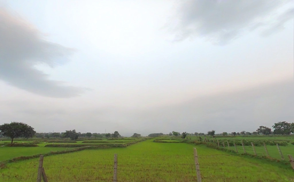 Pond, Chhattisgarh 493661, India