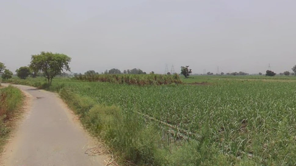 Daurala, Uttar Pradesh 250221, India