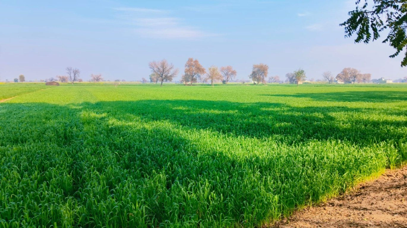 Bhora Kalan, Haryana 122413, India