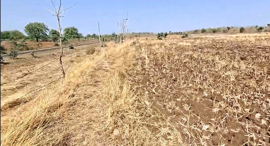 Damodara, Jaunpur, Uttar Pradesh 222137, India