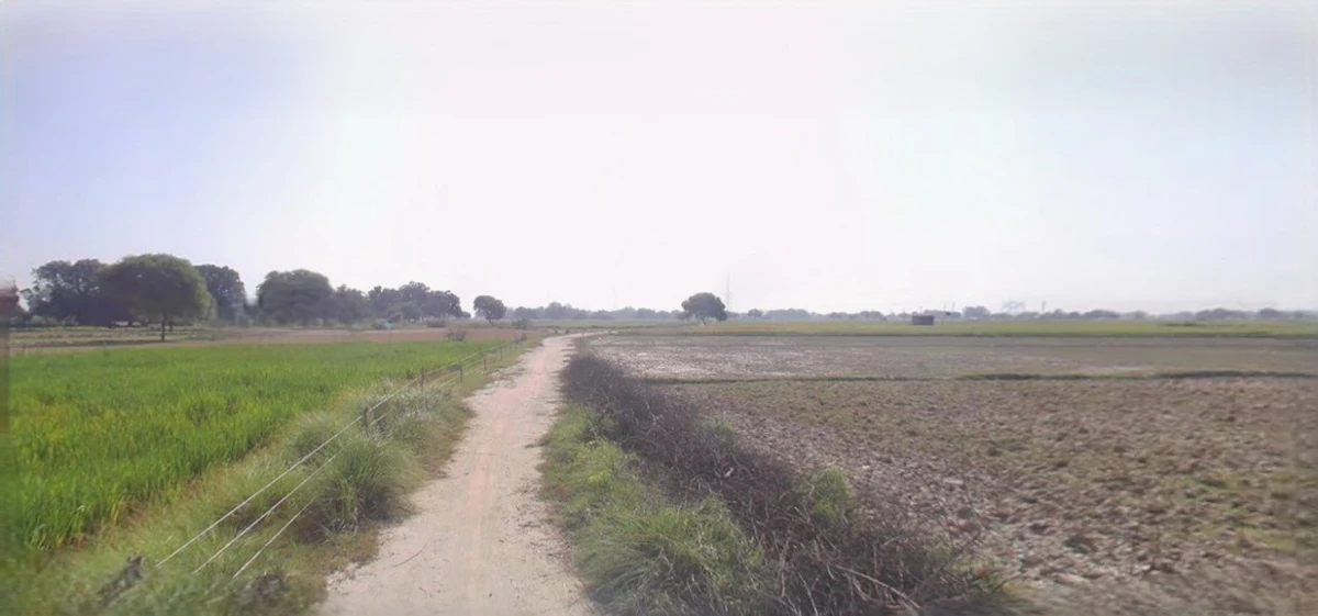 Jhajjar, Haryana 124103, India