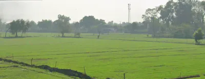 Kothdi Bahlolpur, Uttar Pradesh 247129, India preview 2