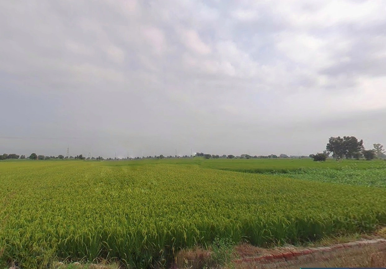 Karmatand, Jharkhand 826004, India