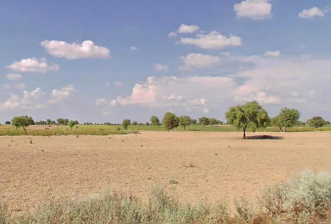 Gajsinghpur, Rajasthan 335024, India