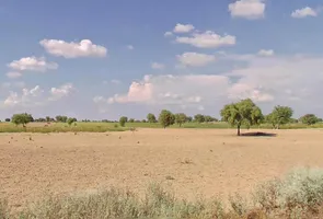 Gajsinghpur, Rajasthan 335024, India preview 2