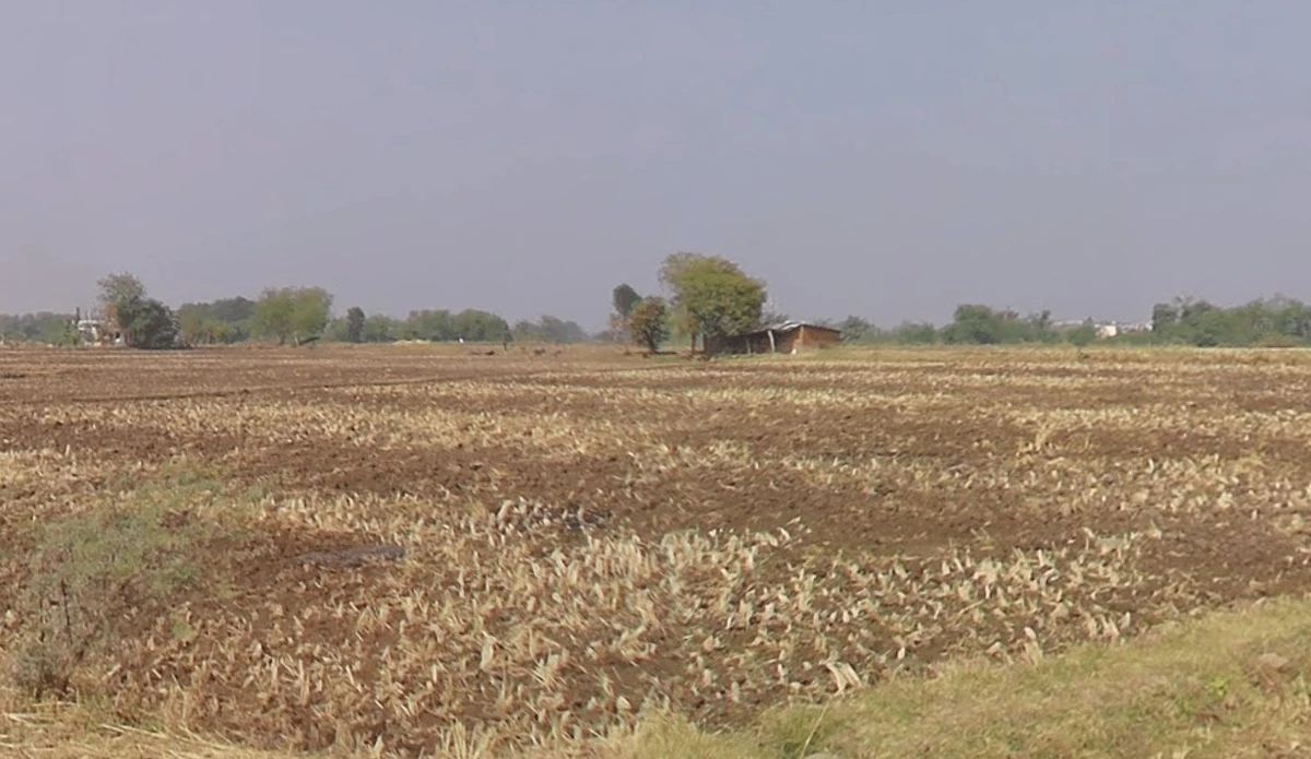 7G84+C39, Bhopal, Madhya Pradesh, India