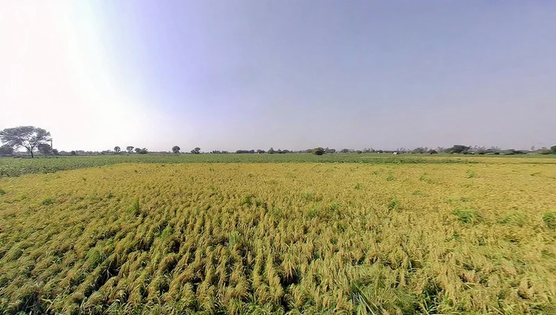 Tappal, Uttar Pradesh 202165, India preview 3