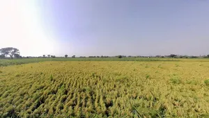 Tappal, Uttar Pradesh 202165, India preview 3