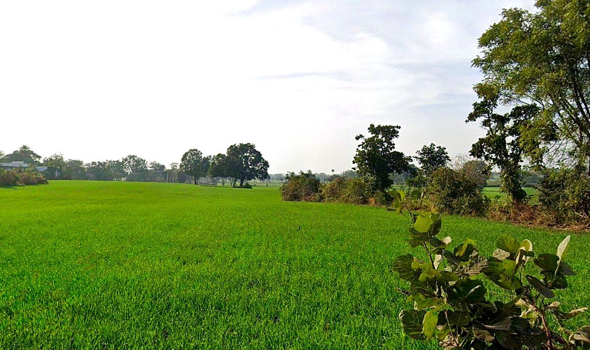 Rehti, Madhya Pradesh 466446, India