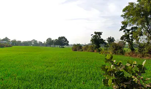 Rehti, Madhya Pradesh 466446, India preview 2