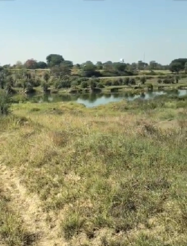 Rattangarh, Punjab 148028, India